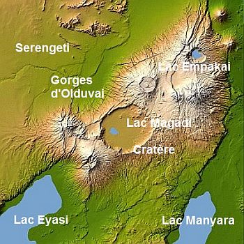 olduvai carte